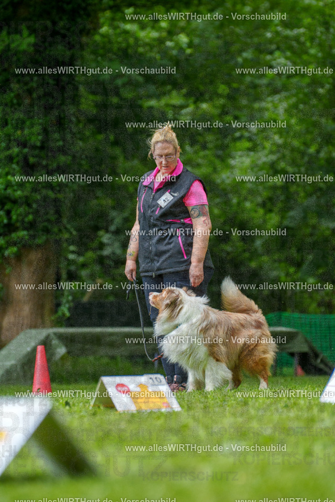 @allesWIRTHgut_Tierfotografie - www.allesWIRTHgut.de - 7R505059 | Professionelle Tierfotografie in Mönchengladbach von Daniel Wirth (allesWIRTHgut). Liebevolle & natürliche Bilder von Hunden & Katzen für unvergessliche Erinnerungen.