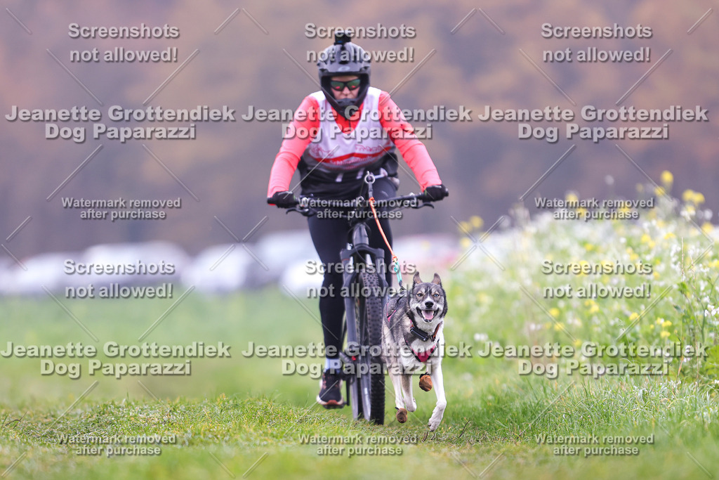 Dog Paparazzi - Visbeck 25 -257 | Dog Paparazzi Jeanette Grottendiek Fotografie & Videografie - Realisiert mit Pictrs.com