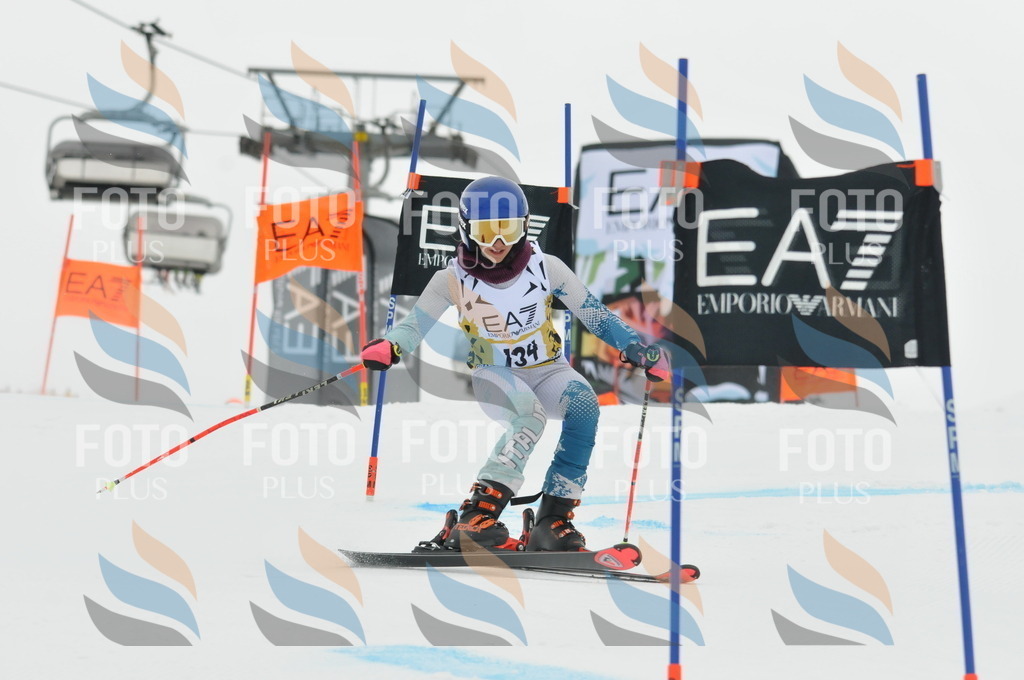 DSC_8321 | holidayphoto