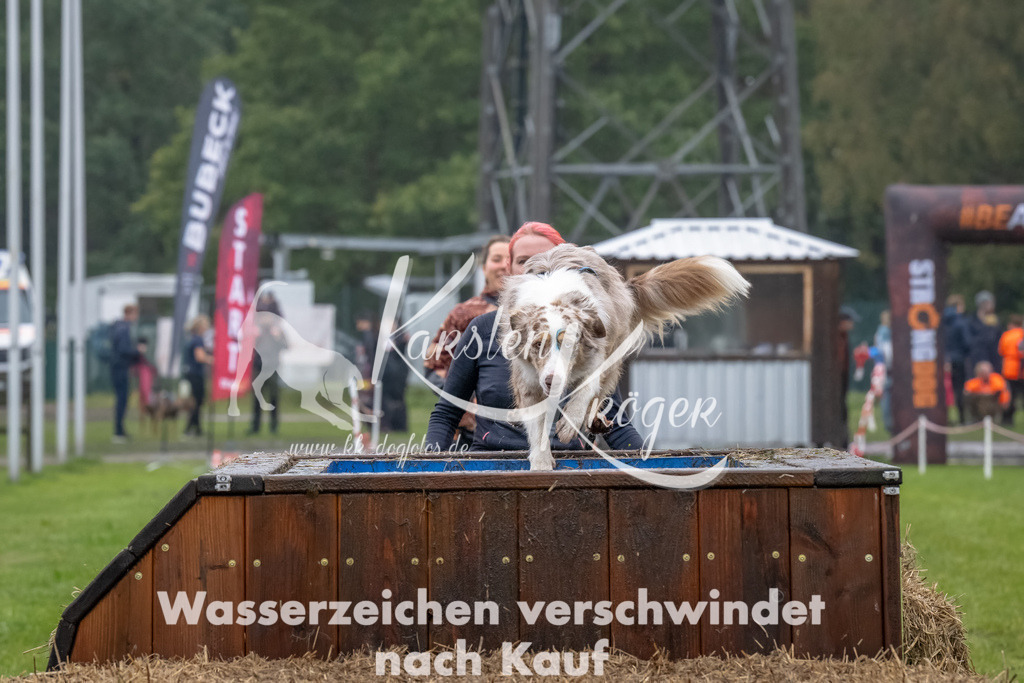 1225--14 | kk-dogfotos