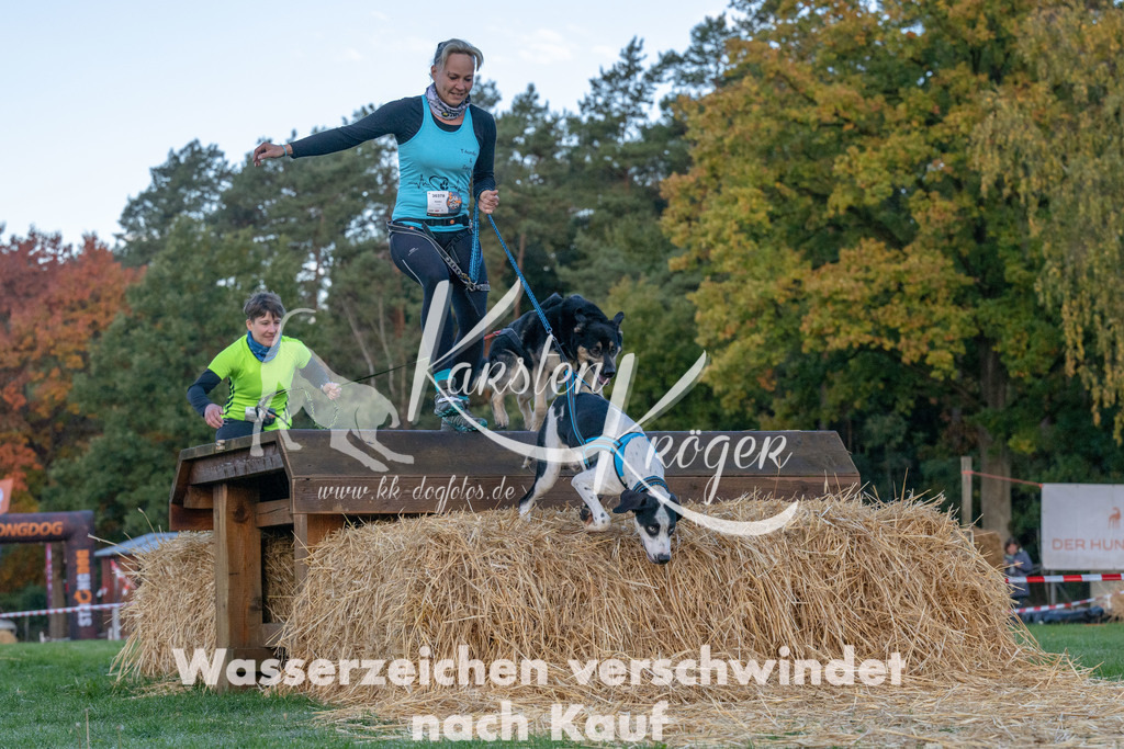 0834_ZZ90816 | kk-dogfotos