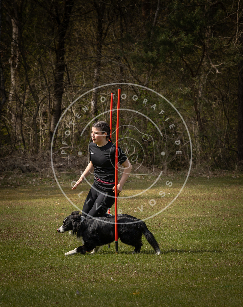 Pfotenfotografie_DV3A5055 | Hundefotografie, Tierfotograf, Pfotenfotografie, Fotoshooting Hund, Hunde Portrait, Hundesport, Hundeportraits, Heideshooting, Hunde, Sportfotograf, Hundefotograf, Turnierhundsport, THS,  - Realisiert mit Pictrs.com
