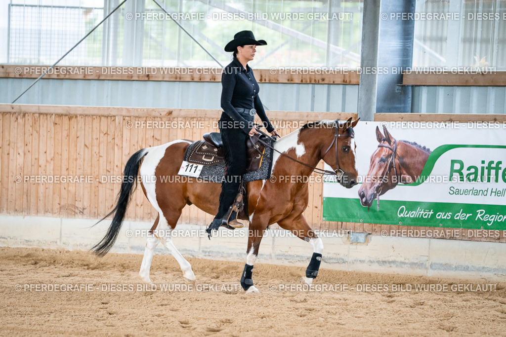 DSC08420 | Pferdegrafie