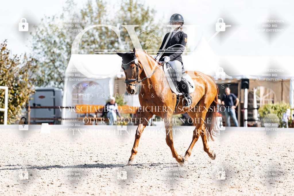 CK902813 | Turnierfotografie Pferdefotografie Trier Rheinland-Pfalz Pferdesport Reitsport Tierfotografie Sportfotografie Pferdevideo Pferdevideografie Equestrianvideography equestrianphotography  - Realisiert mit Pictrs.com