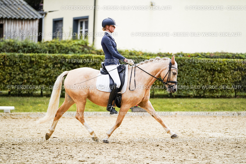 DSC00827 | Pferdegrafie