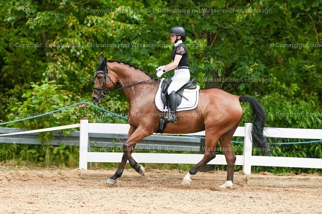 20230715_05_Dressurprüfung Kl.A++_0329 | equistock