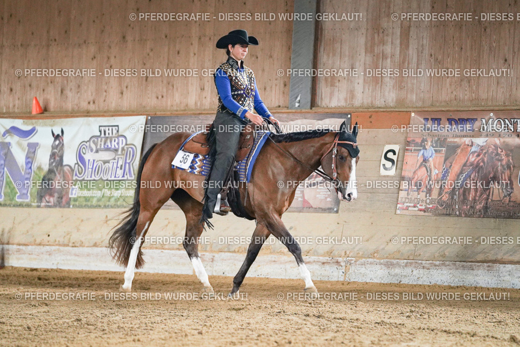 DSC05604 | Pferdegrafie