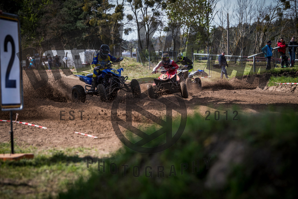 DKP-1337 | Drew Kaplan Photography