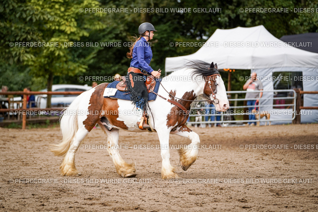 DSC07719 | Pferdegrafie