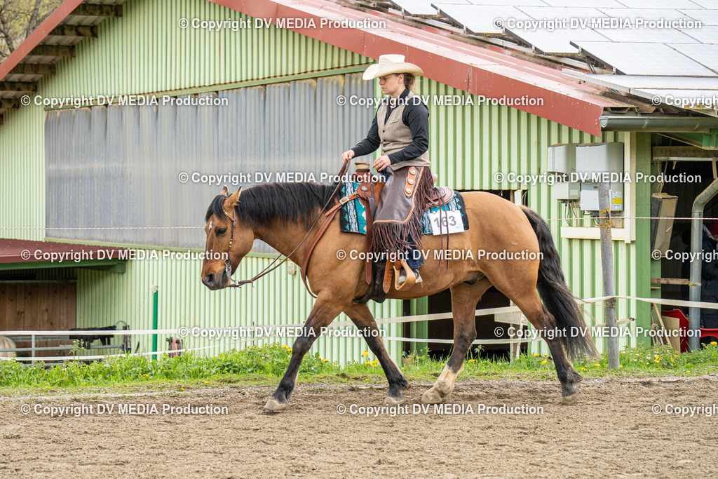 BAL00742 | dv-media-shop - Realisiert mit Pictrs.com