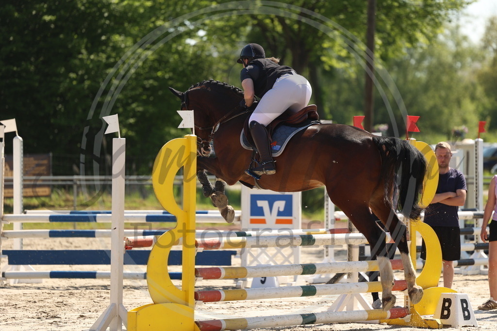 994A5603 | sabrinanicolaifotografie - Realisiert mit Pictrs.com