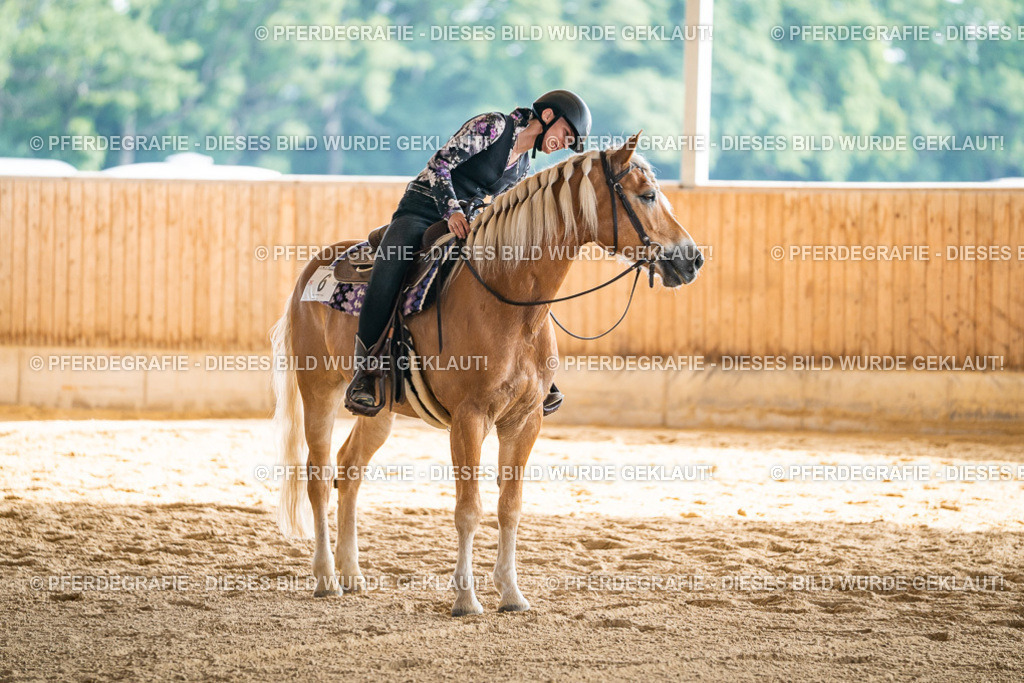 DSC08345 | Pferdegrafie