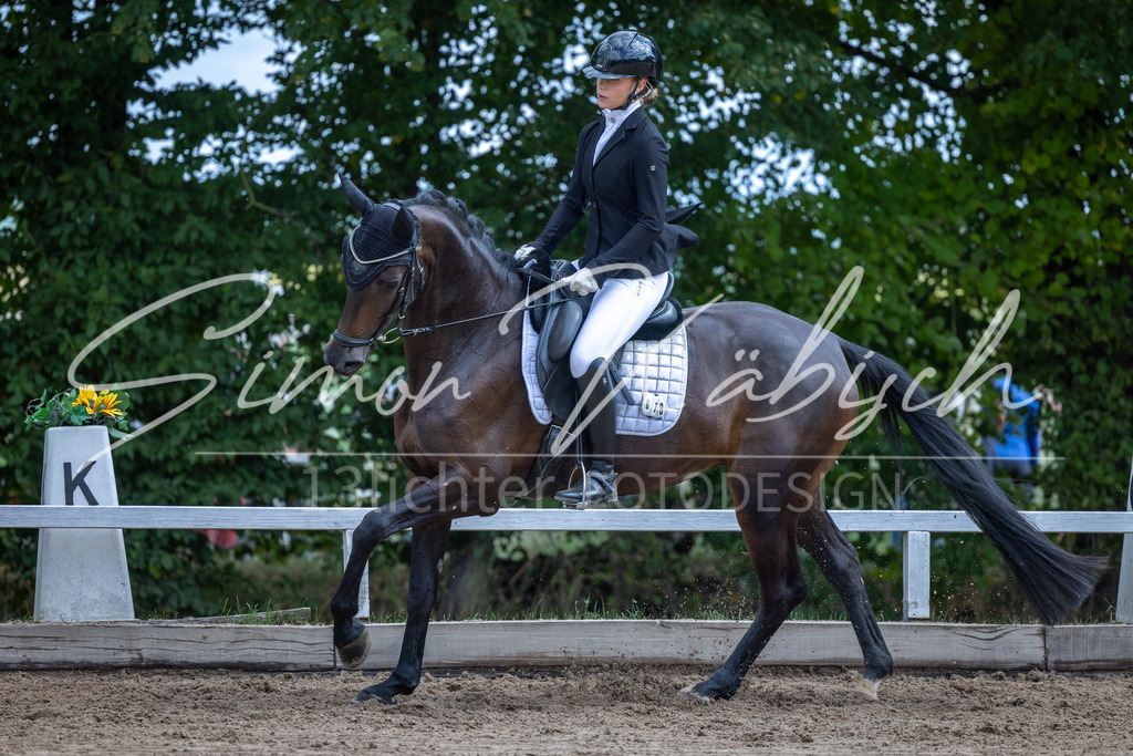20260905-_3LI8045 | Tierfotografie Pferde, Hunde, Katzen, Haustiere.
Turnierfotografie Reitturniere, Reiten, Springreiten, Dressur in Hanau, dem Main-Kinzig-Kreis und dem Rhein-Main- Gebiet um Frankfurt