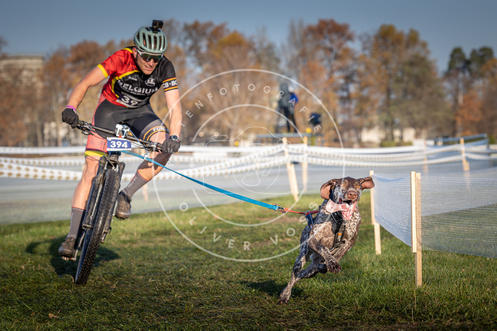 CaniXpix_0L8A3884 | Hundefotografie, Tierfotograf, Pfotenfotografie, Fotoshooting Hund, Hunde Portrait, Hundesport, Hundeportraits, Heideshooting, Hunde, Sportfotograf, Hundefotograf, Turnierhundsport, THS,  - Realisiert mit Pictrs.com