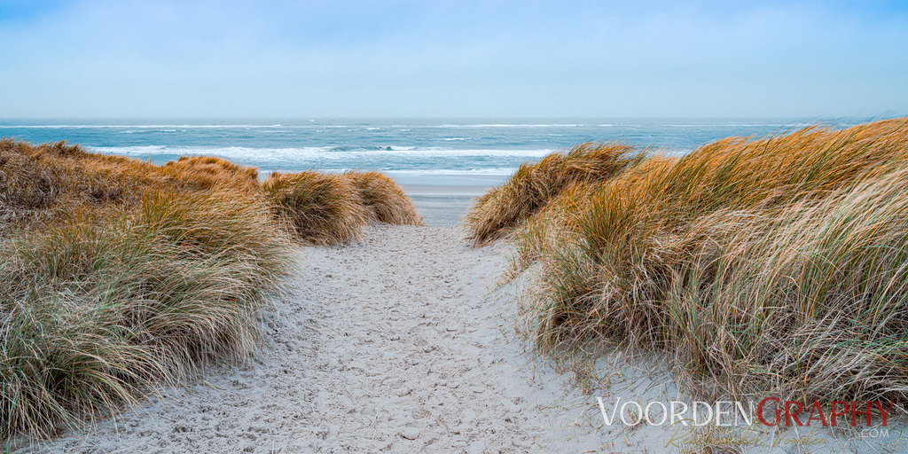 Dünen / Strand / Texel / Holland | VoordenGraphy Fotos - Realisiert mit Pictrs.com