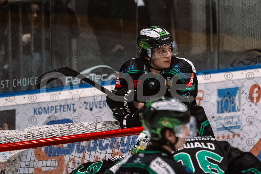 Alligators_vs_Bayreuth_16_01_2026-10 | Höchstadt Alligators Fotogalerie: Eishockey-Action aus Franken. Professionelle Spielfotos, Portraits & Stadionbilder zum Download. Jetzt entdecken! - Realized with Pictrs.com
