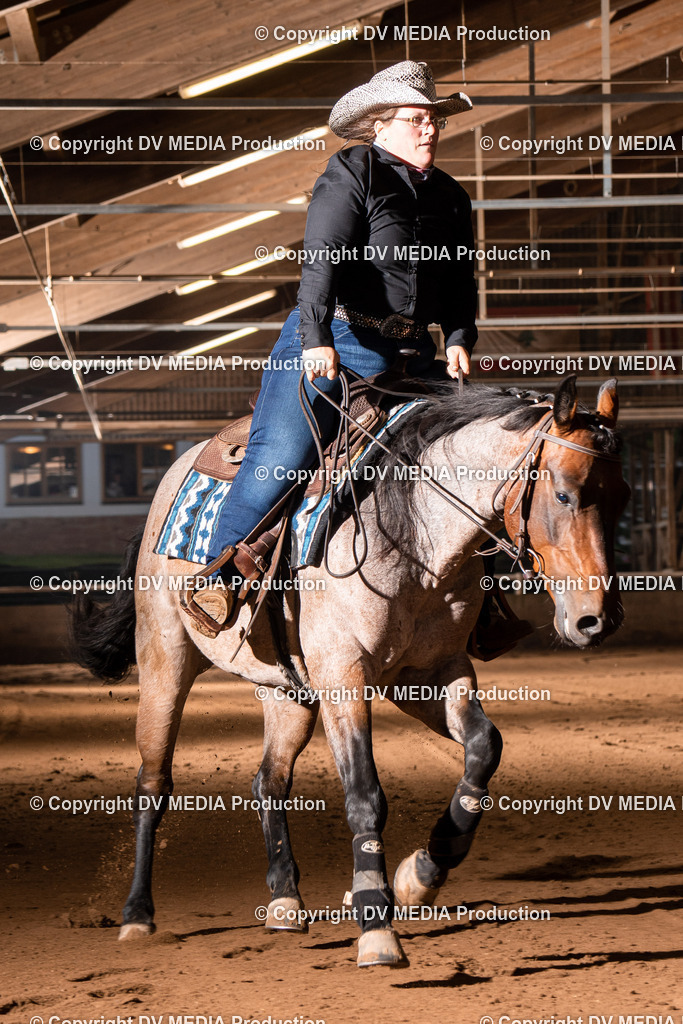 Erbach Tag 3-925 | dv-media-shop - Realisiert mit Pictrs.com