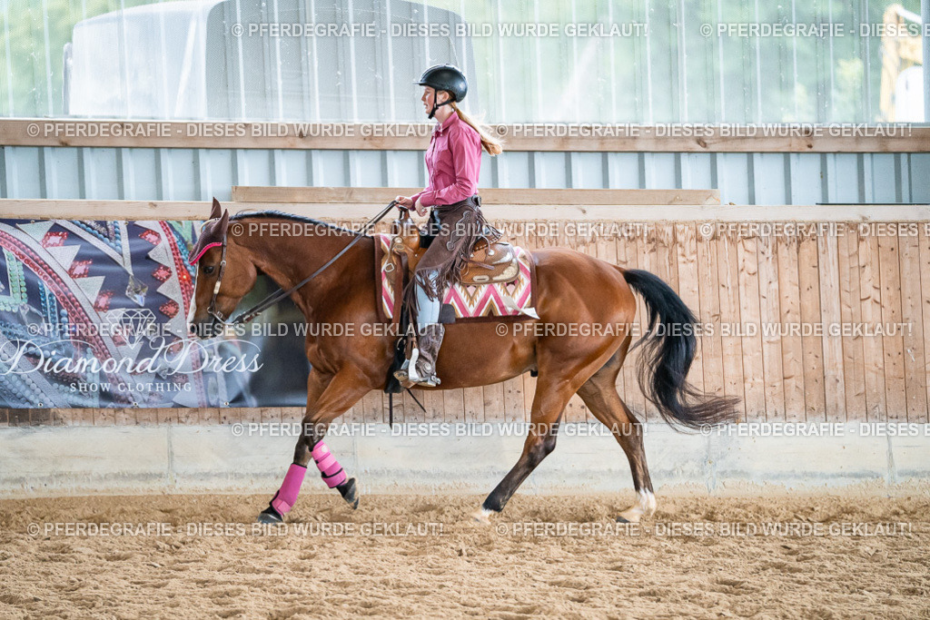 DSC01348 | Pferdegrafie