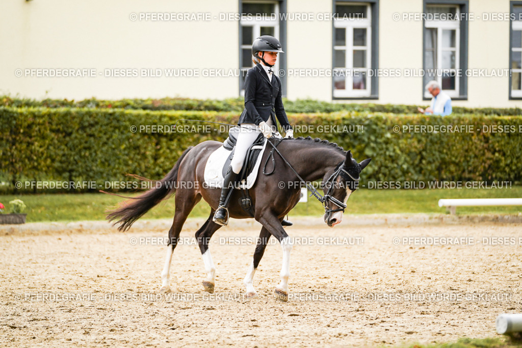 DSC00273 | Pferdegrafie