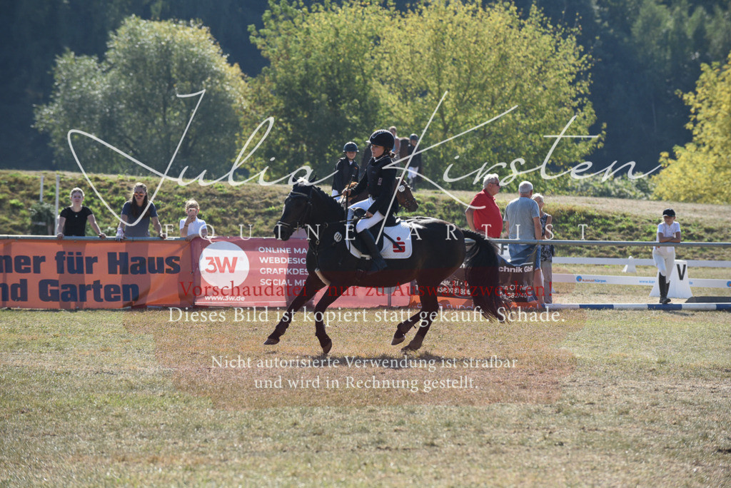 DSC_6113 | Pferde- und Turnierfotografie in Westsachsen. Pferdeportraits, Auftragszeichnungen und intuitive Kunst.