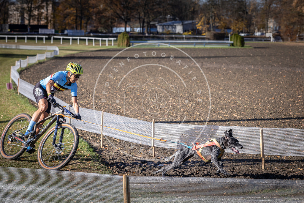 CaniXpix_DV3A5334 | Hundefotografie, Tierfotograf, Pfotenfotografie, Fotoshooting Hund, Hunde Portrait, Hundesport, Hundeportraits, Heideshooting, Hunde, Sportfotograf, Hundefotograf, Turnierhundsport, THS,  - Realisiert mit Pictrs.com