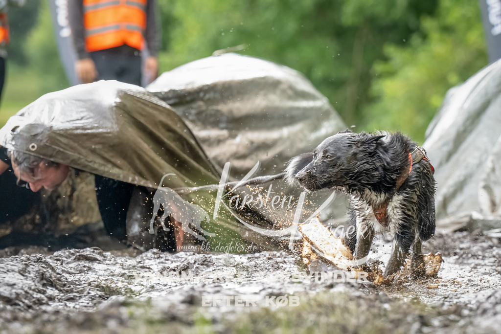 0920_ZZ90815-Bearbeitet | kk-dogfotos