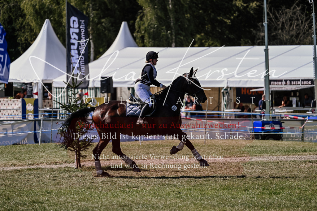 DSC_1847 | Pferde- und Turnierfotografie in Westsachsen. Pferdeportraits, Auftragszeichnungen und intuitive Kunst.