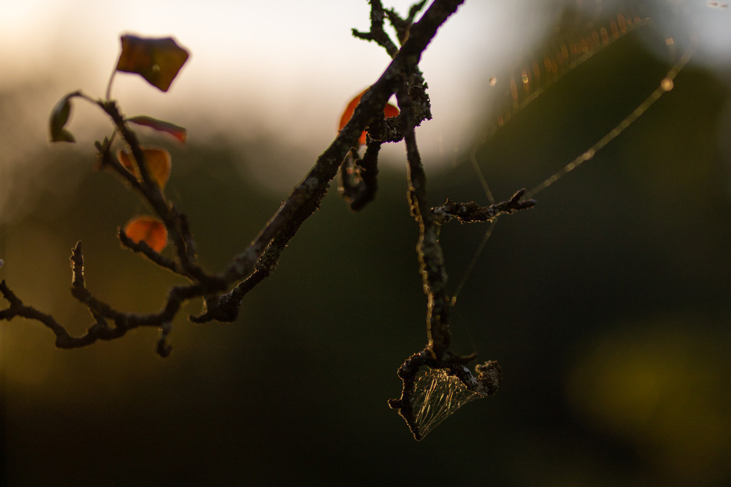 IMG_4757 | ehrlichefotos - Realisiert mit Pictrs.com