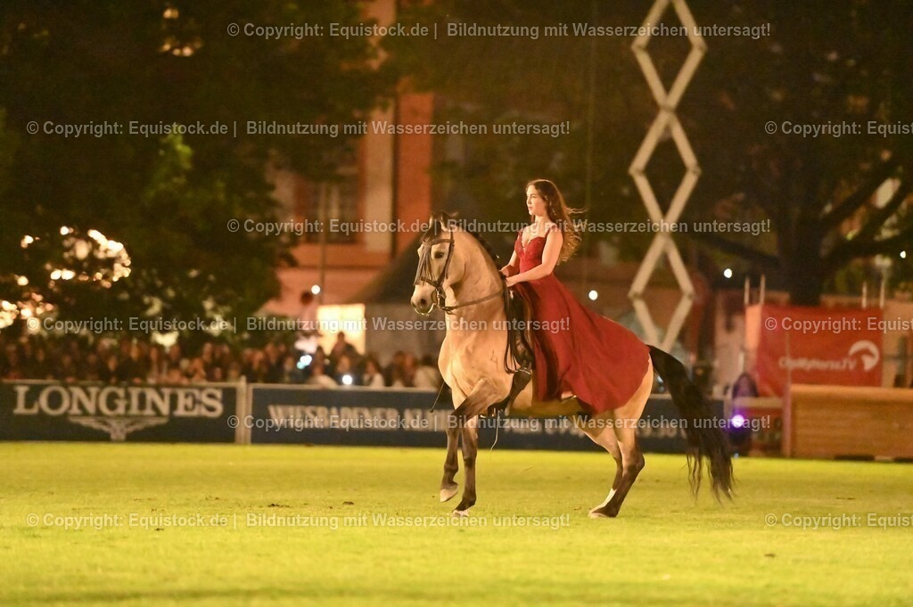 20230526_Pferdenacht_1386 | equistock