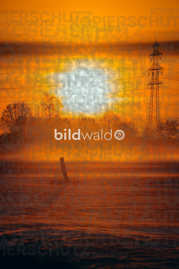 _DSC5472 | BILDWALD - eine Auswahl an Bildern von Thomas Perrotton zum bestellen und genießen. Alle Bilder von Thomas Perrotton - Alle Bilder mit einer SONY Kamera gemacht - SONY TAMRON SIGMA PHOTOSHOP LIGHTROOM BILDWALD Online kaufen Bilderwald Wandbilder - Realisiert mit Pictrs.com