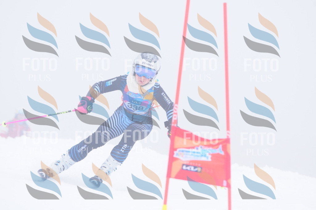 C3621 | holidayphoto