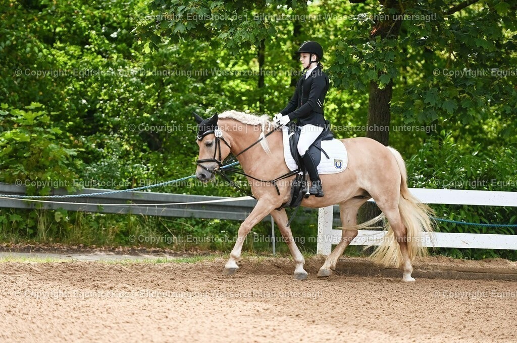 20230716_10-1_Reiter-WB Schritt - Trab - Galopp_0059 | equistock