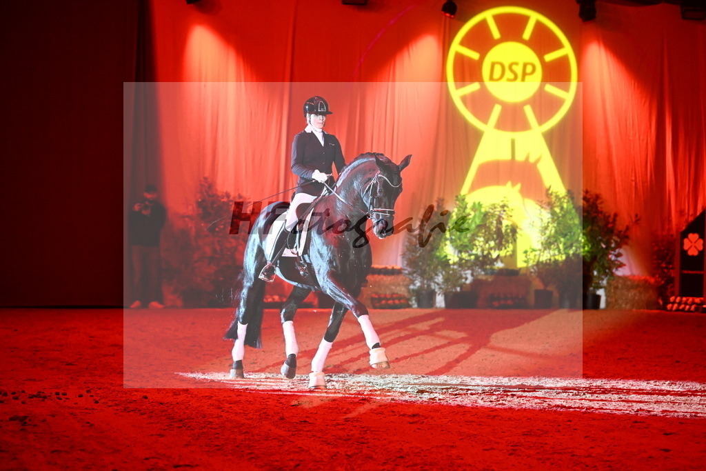 DSP Dream Royal_Arturi_2255181 | hf-fotografie - Realisiert mit Pictrs.com