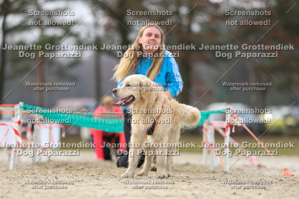 Dog Paparazzi - Strongdog North Mrz26-4672 | Dog Paparazzi Jeanette Grottendiek Fotografie & Videografie - Realisiert mit Pictrs.com