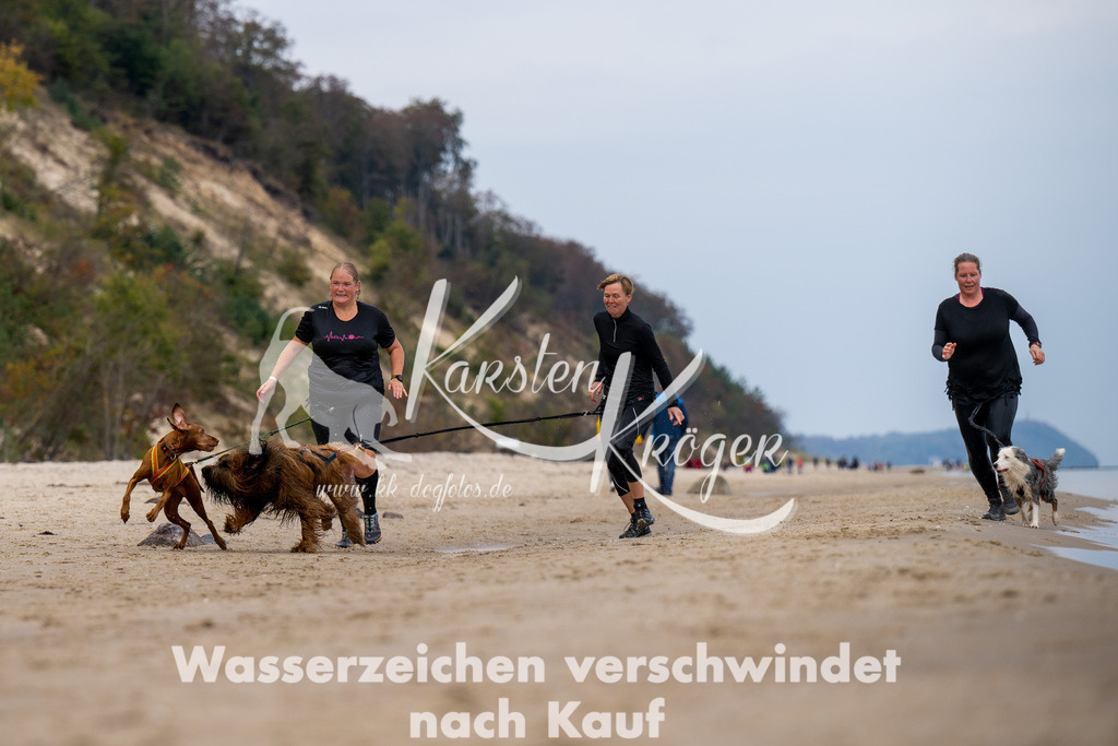1232_ZZ92137 | kk-dogfotos
