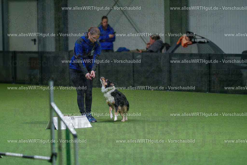 7R503174 | Professionelle Tierfotografie in Mönchengladbach von Daniel Wirth (allesWIRTHgut). Liebevolle & natürliche Bilder von Hunden & Katzen für unvergessliche Erinnerungen.