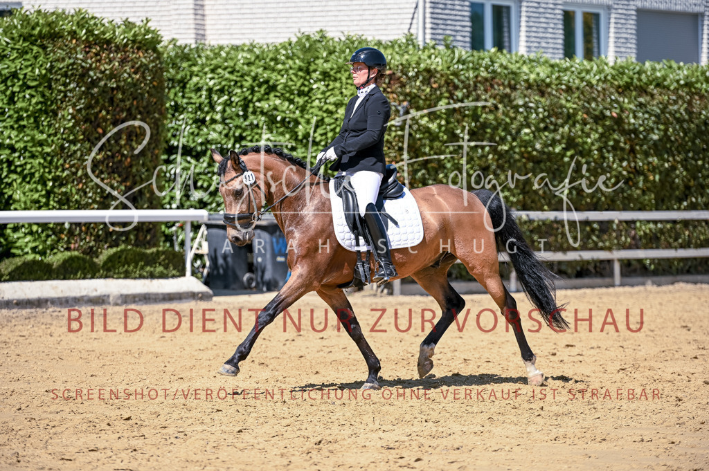 Schugtsche-Aluta25-49.Dressurpferdeprf.A-431 | Schugtsche Fotografie - Realisiert mit Pictrs.com