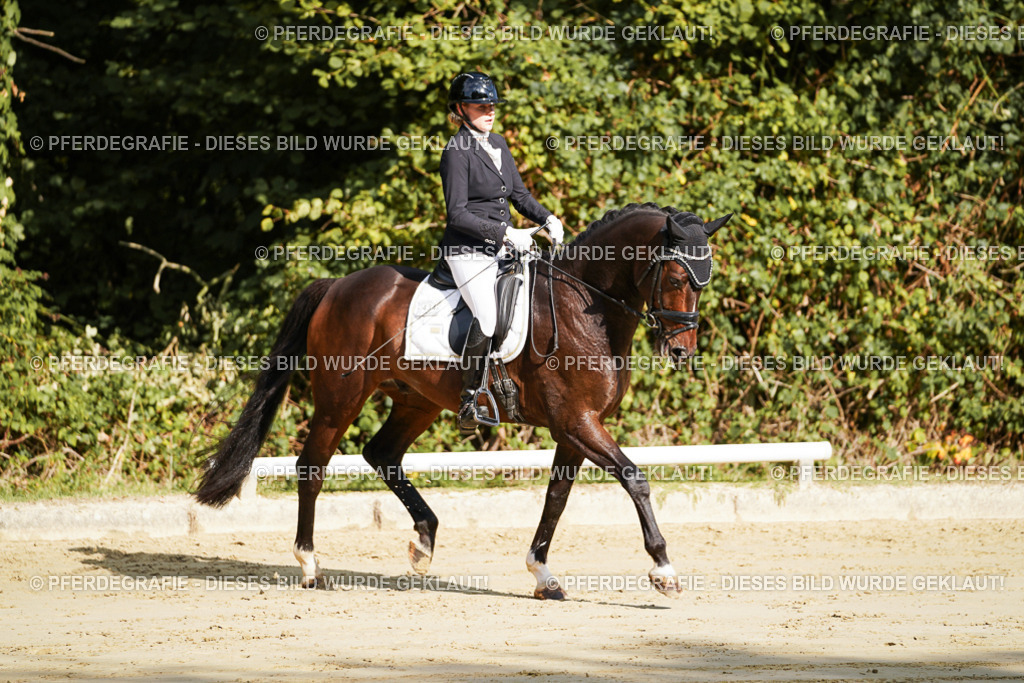 DSC07796 | Pferdegrafie