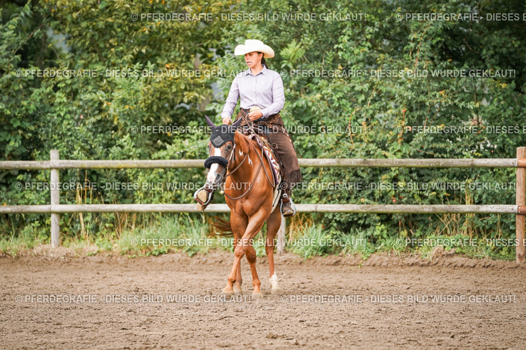 DSC08040 | Pferdegrafie