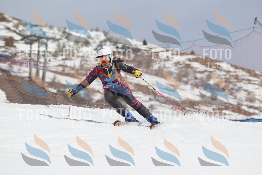 _U3G1458 | holidayphoto