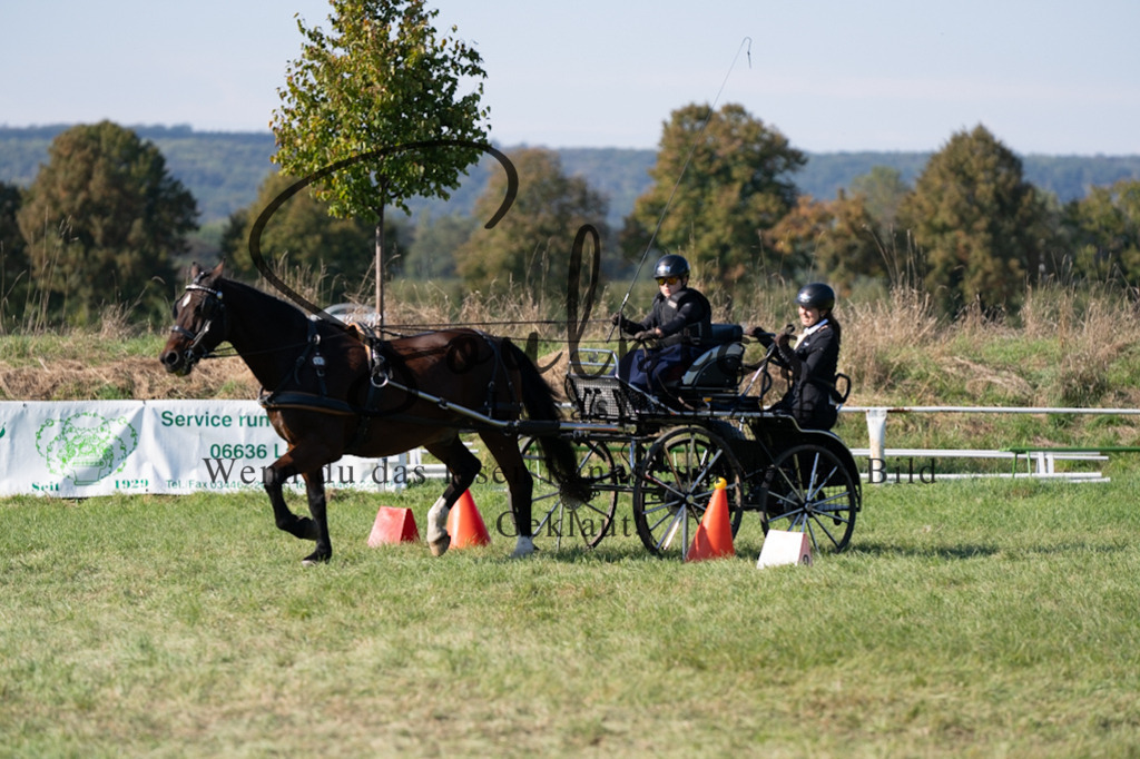 A7V04347 | Pferdefotograf