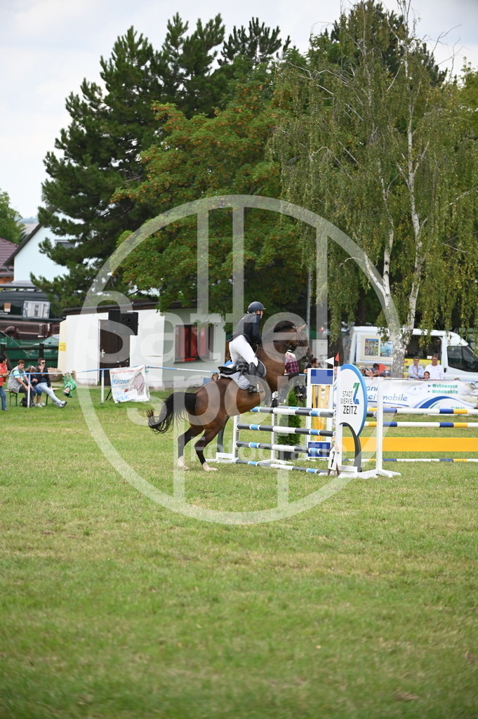 DSC_2381 | sattelsport - Realisiert mit Pictrs.com