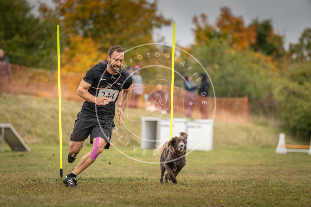 Pfotenfotografie_DV3A5573 | Hundefotografie, Tierfotograf, Pfotenfotografie, Fotoshooting Hund, Hunde Portrait, Hundesport, Hundeportraits, Heideshooting, Hunde, Sportfotograf, Hundefotograf, Turnierhundsport, THS,  - Realisiert mit Pictrs.com