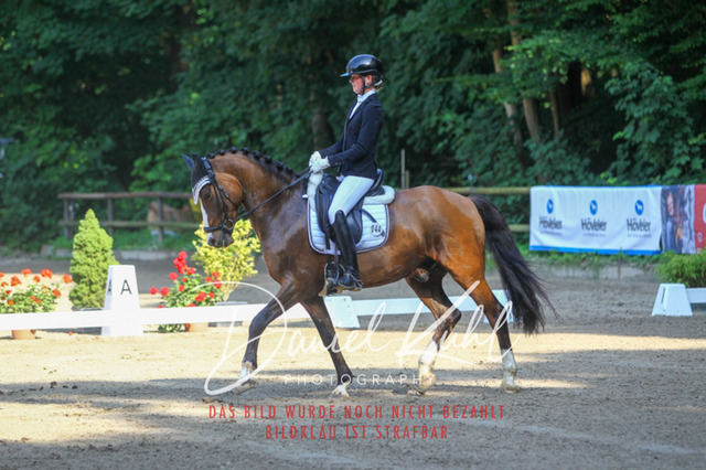 DKP42913 | Turniersportfotografie; Pferdefotografie; Dressurfotografie