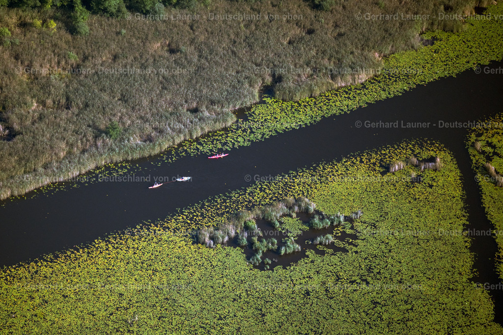 4062311 | MIROW 08.09.2021 Uferbereichs- Landschaft am Gebiet der Seenkette mit Wassersportlern am Seengebiet Kleiner Kotzower See in Mirow im Bundesland Mecklenburg-Vorpommern, Deutschland. // Shore area landscape in the area of a??a??the chain of lakes with water sports enthusiasts in the Kleiner Kotzower See lake area in Mirow in the state Mecklenburg - Western Pomerania, Germany. Foto: Gerhard Launer