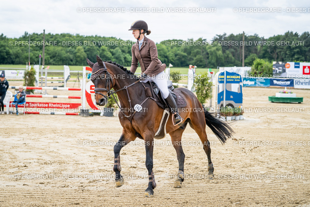 DSC04960 | Pferdegrafie