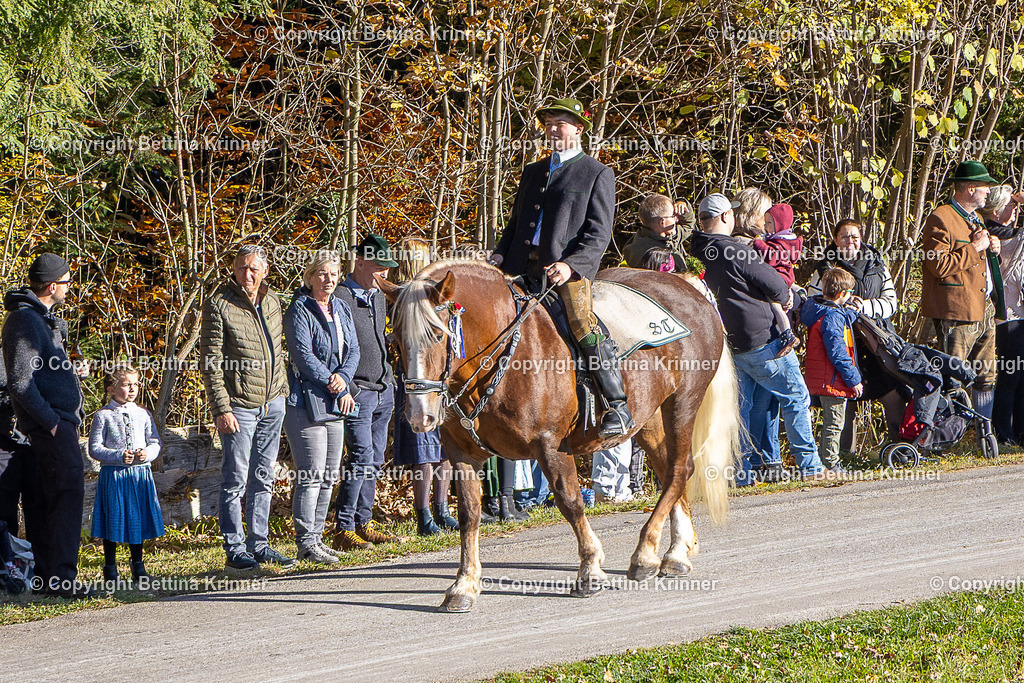 LBT25-274 | foto-bettina-krinner - Realisiert mit Pictrs.com