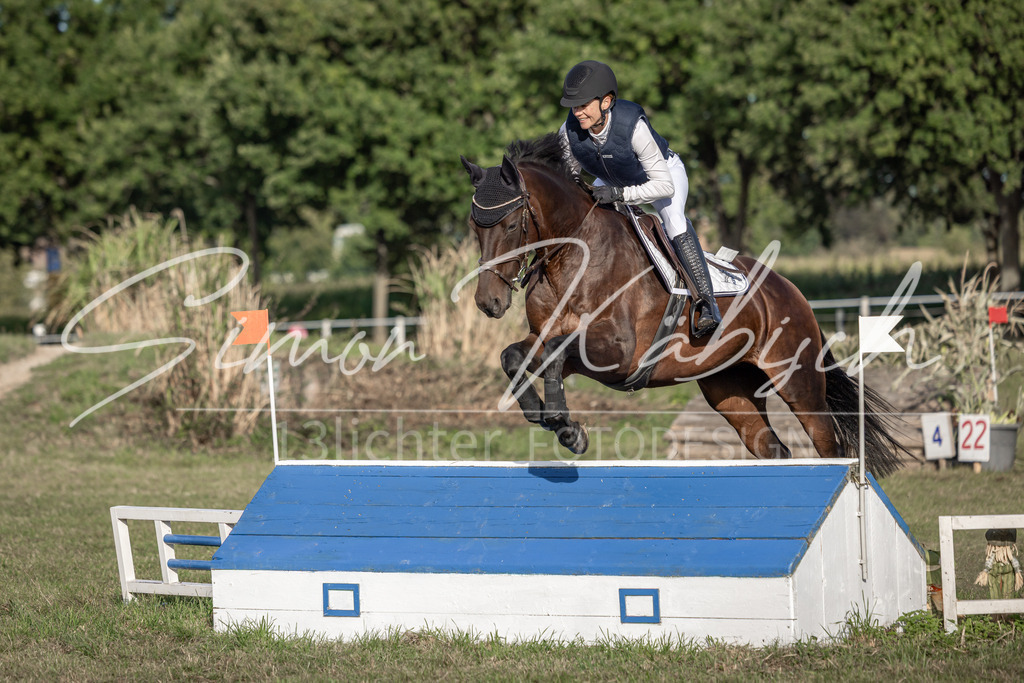 20250907-_3LI8619 | Tierfotografie Pferde, Hunde, Katzen, Haustiere.
Turnierfotografie Reitturniere, Reiten, Springreiten, Dressur in Hanau, dem Main-Kinzig-Kreis und dem Rhein-Main- Gebiet um Frankfurt