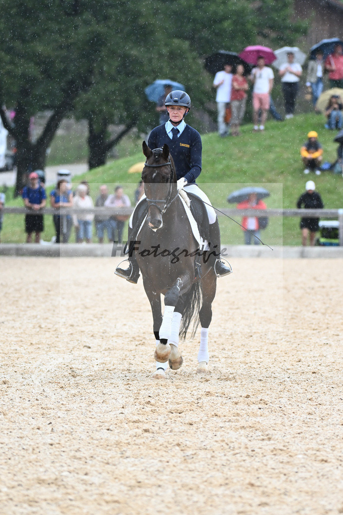 Sparten des Reitsports aus der eigenen Zucht_36240925 | hf-fotografie - Realisiert mit Pictrs.com