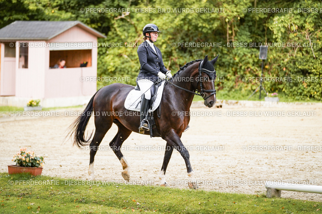 DSC09513 | Pferdegrafie